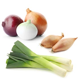Cipolla, scalogno, porri e aglio, le differenze e gli usi